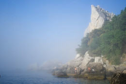 Foggy morning / ***