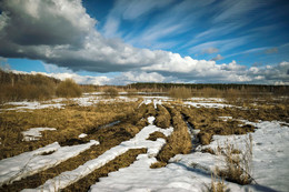 Russian field / ***
