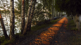 footpath along the shore / ***