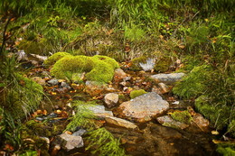 Herbst Creek / ***