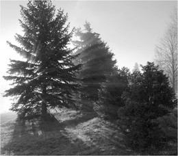 Let there be light / ***