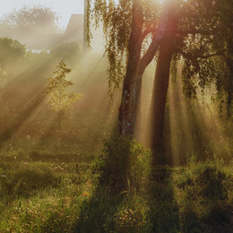Let there be light! / ***