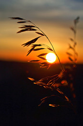 Let there be light! / ***