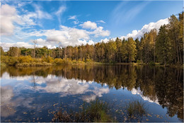 Autumn Blues / ***