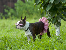 Fashionista / ***
