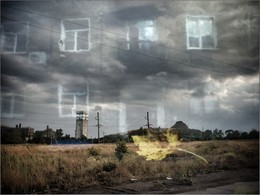  / ***