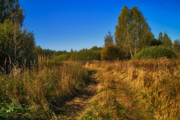 Autumn comes / ***