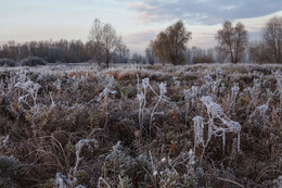 The first frosts / ***