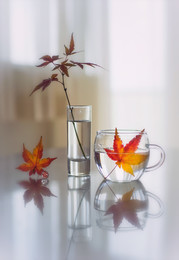gentle autumn / sony A7