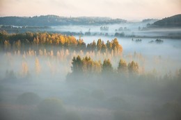 Fog / ***
