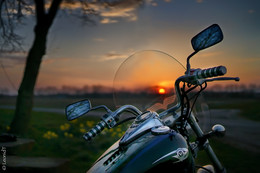 The road into the sunset / ***