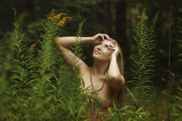 Nature / ...