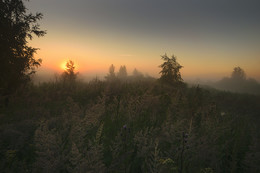 Summer morning ... / ------------
