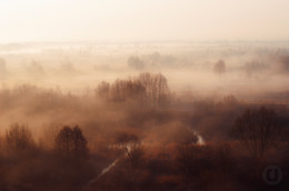 Nebel / ***