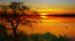 Towards dawn ... / ***