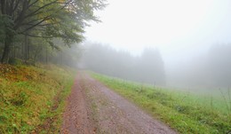 Straße im Nebel / ***