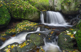 Herbst in der Ysperklamm / Herbst in der Ysperklamm