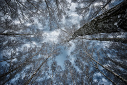 Himmel / ***
