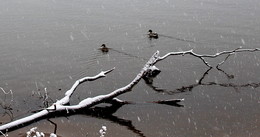 Der erste Schnee / ***