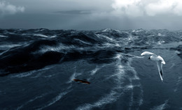 Ocean is shaking... / ***