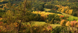 colors of autumn / ----