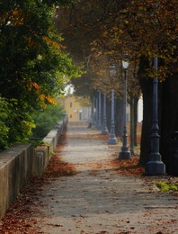 Oktober ist gekommen ... / ***
