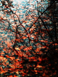 Etüde / 2015-09-30-052-C00-094(82)