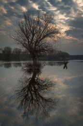 Reflection / Reflection can be deceptive. We must seek an answer in ourselves.