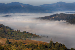 Misty Valley / ***