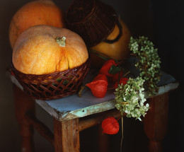 With pumpkins / ............................