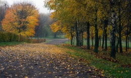 Herbst / ***