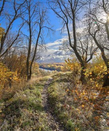 Autumn / ***