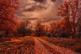 Autumn / ***
