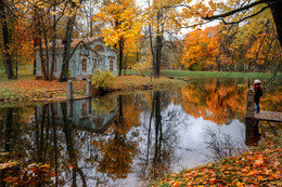 Seeing Fall / ***