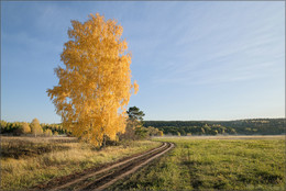 Straße zum Herbst / ***