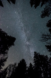 space / ***