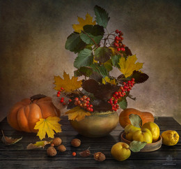 autumn / ***