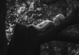 Nameless / ...