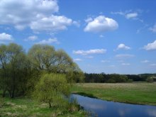 of serenity / ***