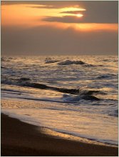Golden sunset / ***