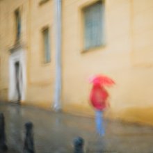 Rain / ***