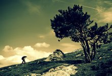 Climbing / ***