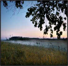 Marsh Evening / ***