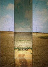 Field / ***