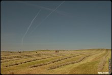 Haymaking / ***