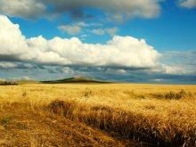 "Song of the Lark" / ***