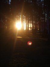 Sunrise / ***