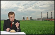 picnic / ***
