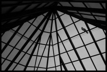 Loneliness / .....