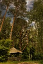In the footsteps of Baba Yaga / HDR